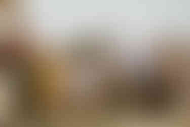 Group of guests celebrating the games others are playing