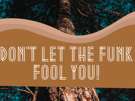 Don't let the funk fool you!
