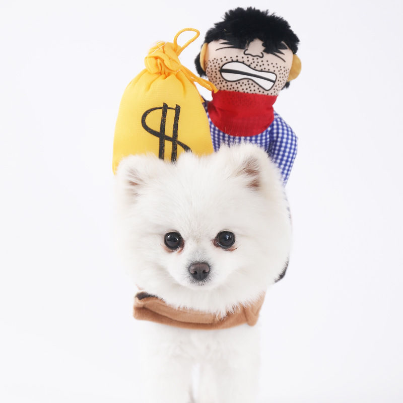 Thumbnail: Halloween Funny Dog Costumes