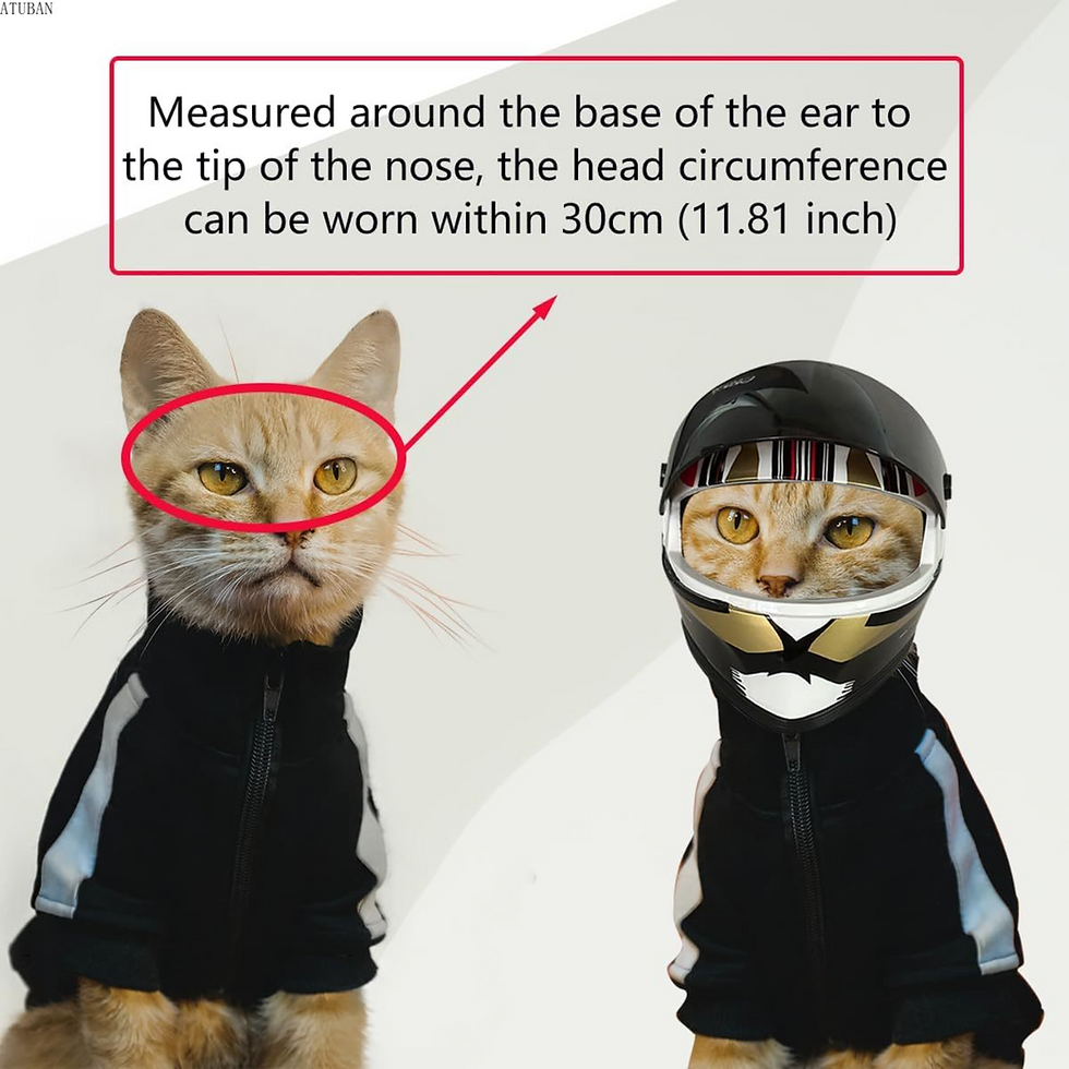 Thumbnail: Pet Mini Motorcycle Helmet