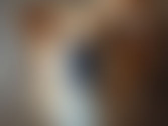 Decoding Your Dog’s Body Language: What Are They Really Saying