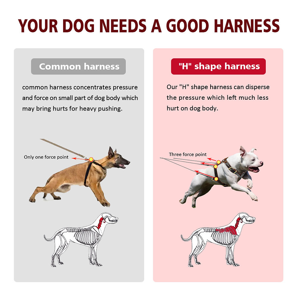 Thumbnail: Genuine Leather Dog Harness for Large Dogs