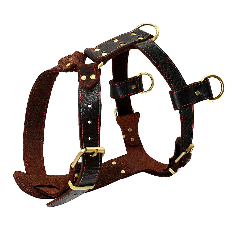 Genuine Leather Dog Harness for Large Dogs
