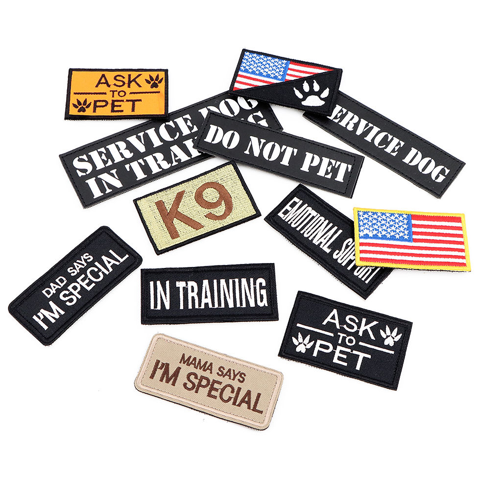 Tactical Patch For Dog Harness