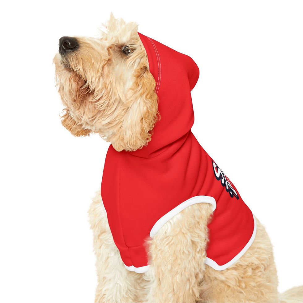 Thumbnail: Santa Paws Pet Hoodie