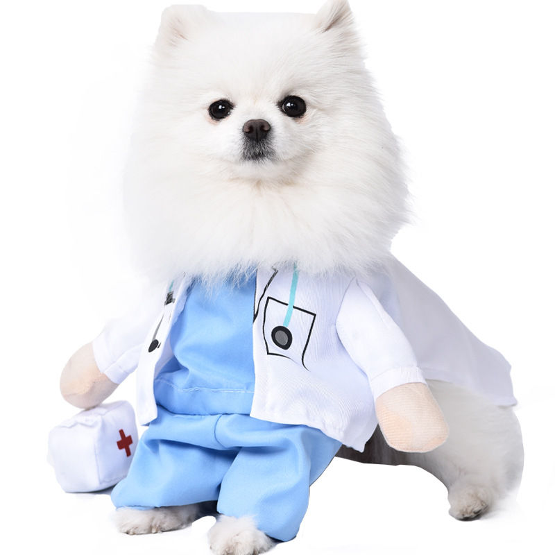 Thumbnail: Halloween Funny Dog Costumes