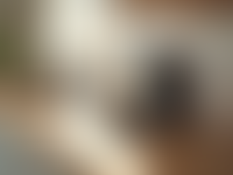 Unveiling Unique and Innovative Pet Products