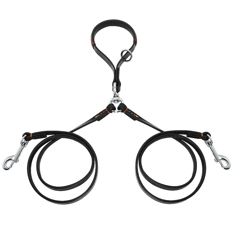 Thumbnail: Leather Coupler Leash