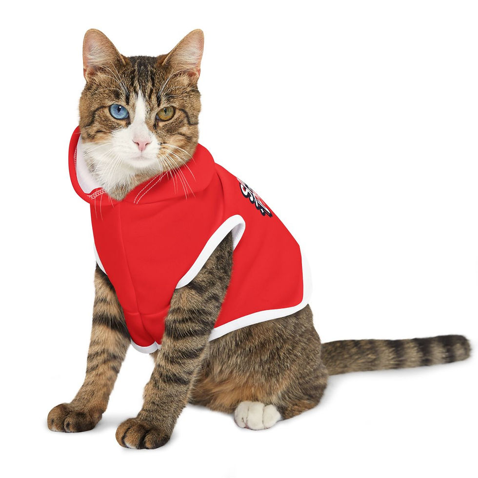 Thumbnail: Santa Paws Pet Hoodie