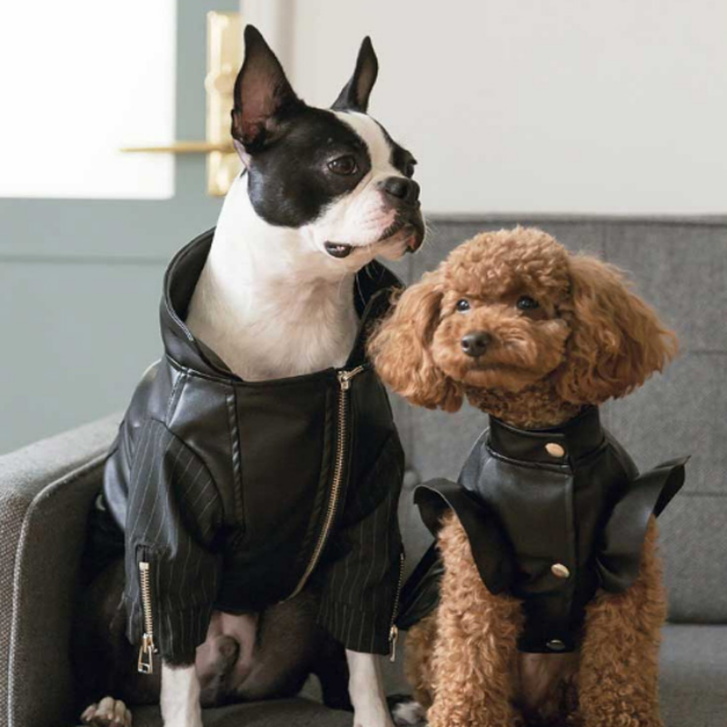 Thumbnail: Leather Coat for Small & Medium Dogs