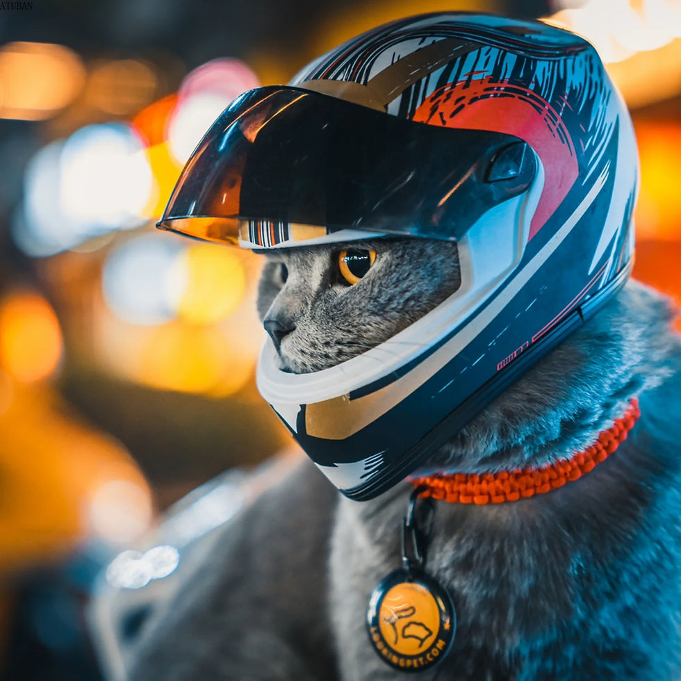 Thumbnail: Pet Mini Motorcycle Helmet