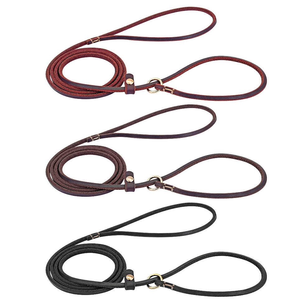 Leather Dog Leash