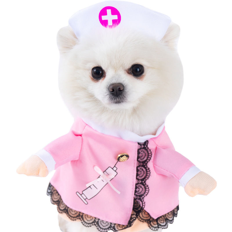 Thumbnail: Halloween Funny Dog Costumes