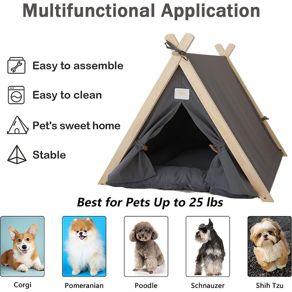 Thumbnail: Stylish and Comfortable Dog or Cat House