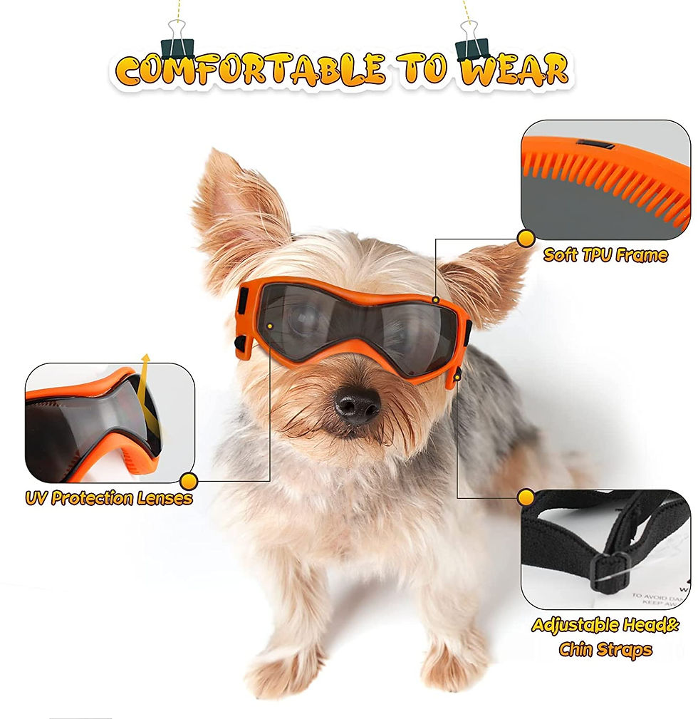 Outdoor UV Protection Sunglasses for Dogs
