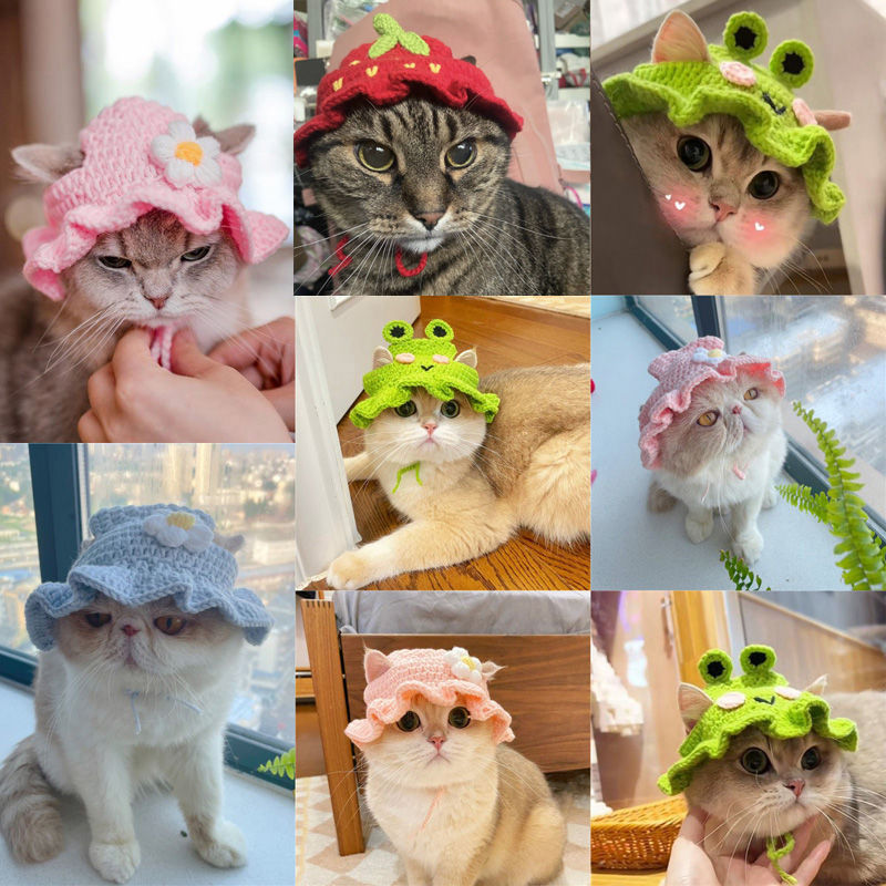 Adorable Knitted Hat for Cats