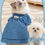 Thumbnail: Denim Puppy Girl Dress