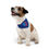 Thumbnail: American Heart Pet Bandana Collar