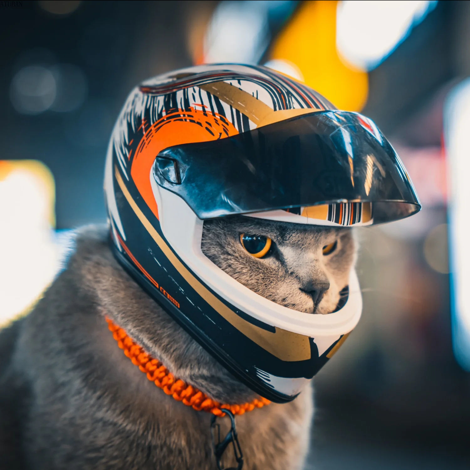 Pet Mini Motorcycle Helmet