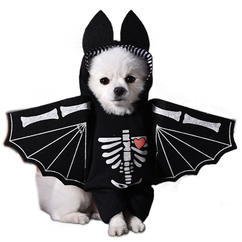 Thumbnail: Halloween Funny Dog Costumes