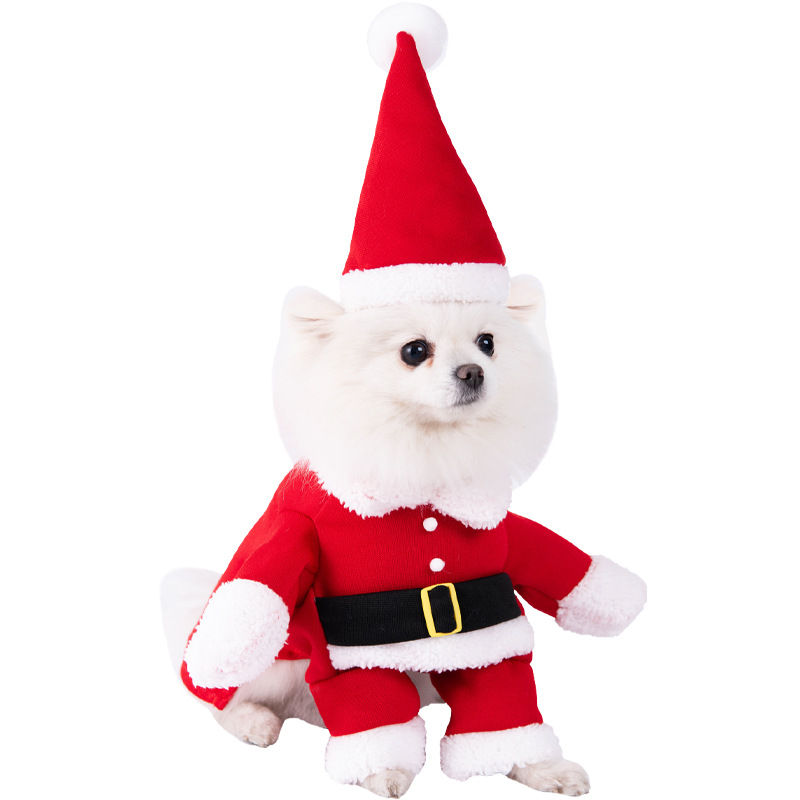 Thumbnail: Halloween Funny Dog Costumes