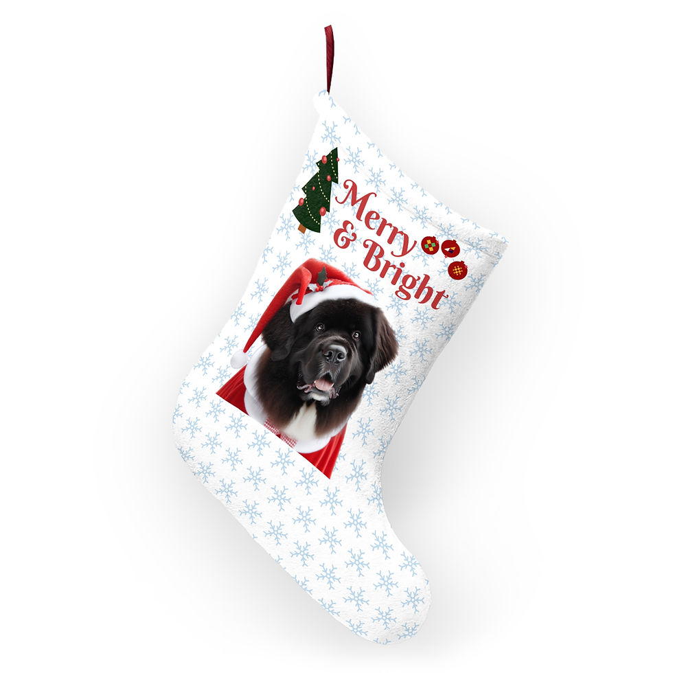 Thumbnail: Newfoundland Christmas Stockings