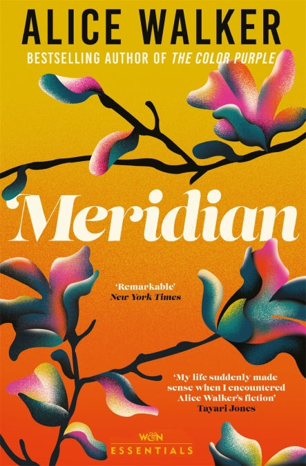 Meridian by Alice Walker