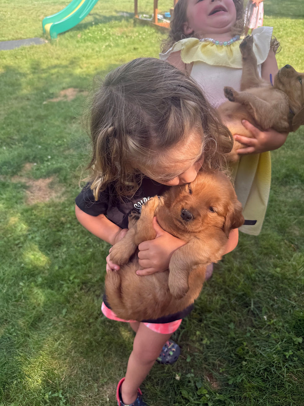 Sadie's puppies snuggling