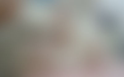 8月1日の猫ちゃんたち