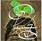 seedlings profile picture.jpg