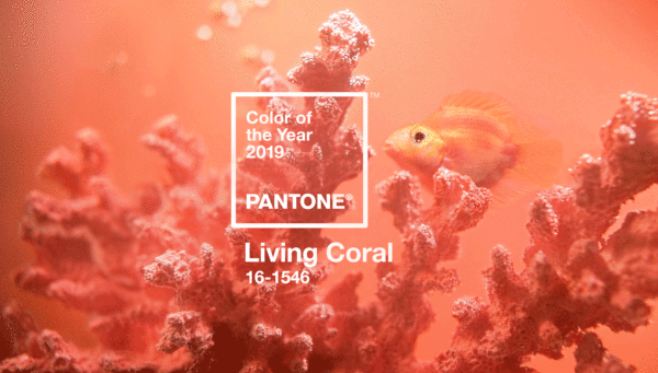 https://www.google.com/url?sa=i&url=https%3A%2F%2Fwww.printmag.com%2Fpost%2Fpantone-names-living-coral-2019-color-of-the-year&psig=AOvVaw2YHdmHEfrxcxWiyv8f92qP&ust=1612505857541000&source=images&cd=vfe&ved=0CAIQjRxqFwoTCPjF_MzKz-4CFQAAAAAdAAAAABAP