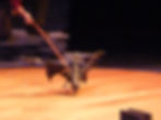 Crow in Action