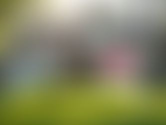 How Much Time Do You Really Have Before Foreclosure in Texas?