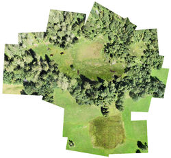 Completa ritoccata a mano_internet