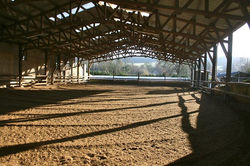 gb quarter horse_indoor arena_equipe d'un sol specialement pour du reining