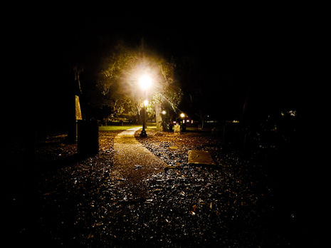 IMG_4226-Edit-2