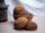 Miniatura: Concha