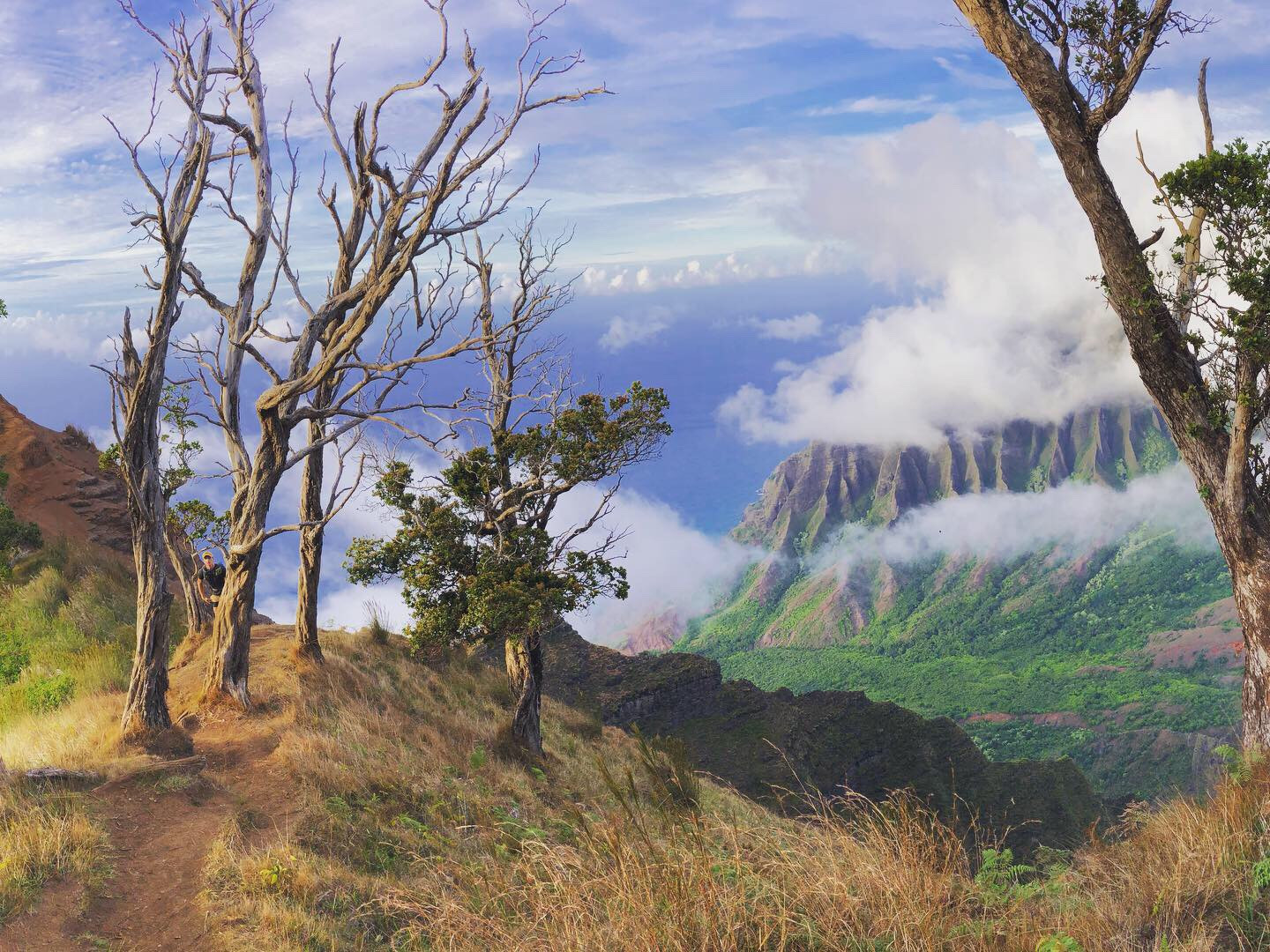 Hike Kauai With Me photo 1 in Princeville