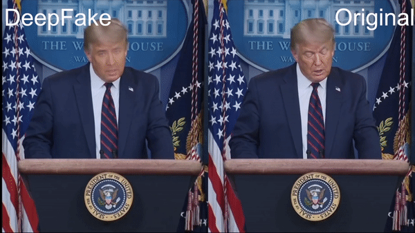 DeepFake.gif