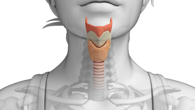 voice therapy goals and objectives