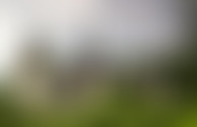 Romania - Bucharest is a gem!