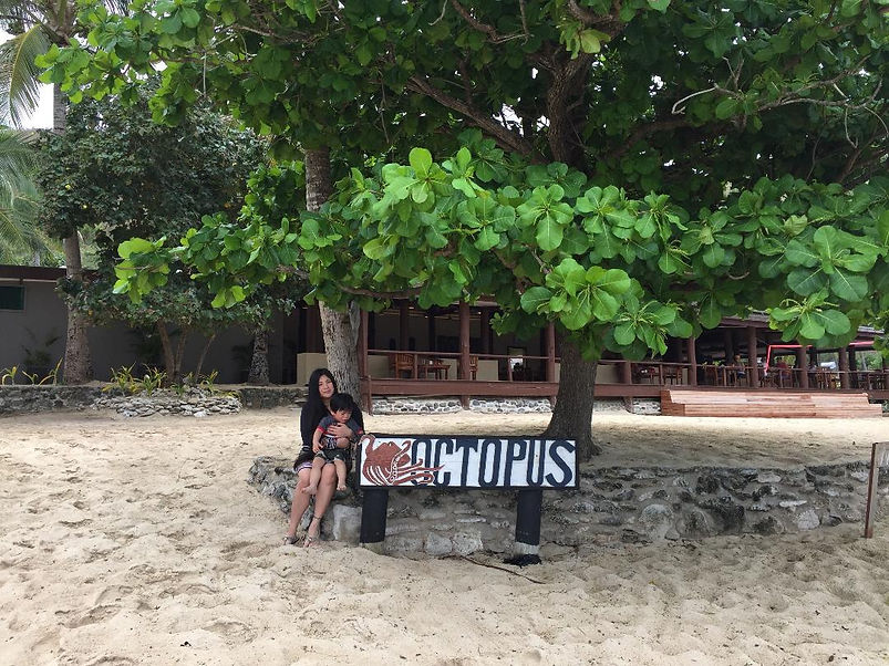 FIJI.jpg
