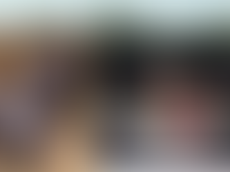 Saving the bats: how one group is working to grow the population