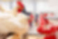 SM-Poultry In Motion-09 - Copy.jpg