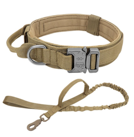 tactical martingale collar