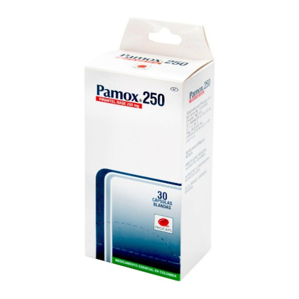 PAMOX 250 MG 30 CAPSULAS