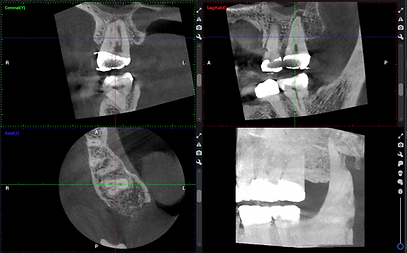 Screenshot 2024-06-11 at 11.23.08 AM.png