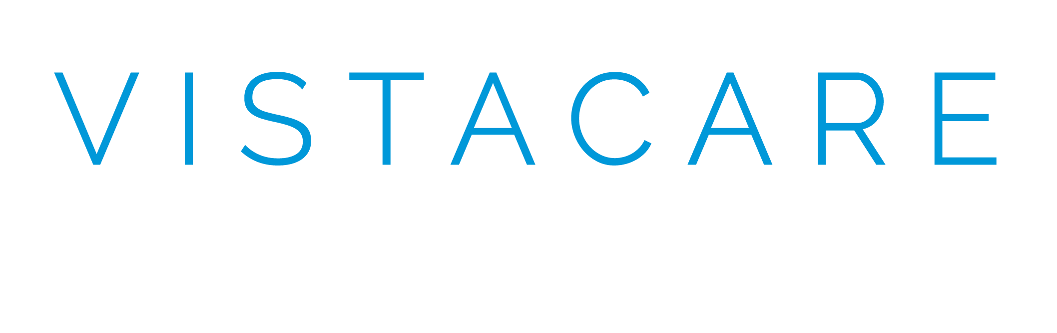 VistaCare name design using a thin typeface. The slogan below says "Plan. Design. Build. Trust."