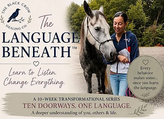 The Language Beneath-Heather_edited.jpg