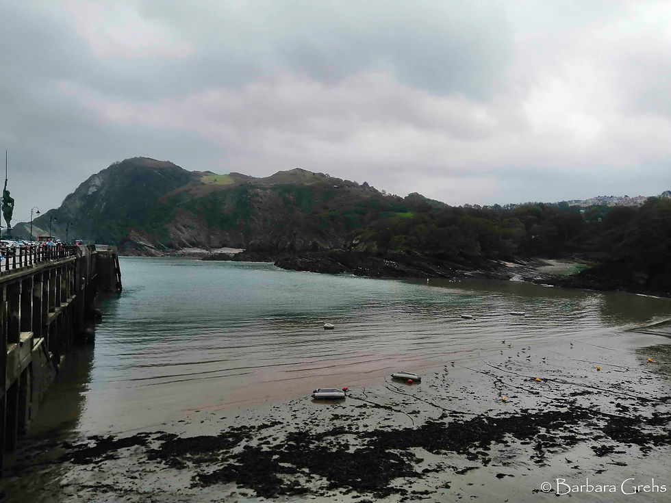 View from the harbour at Ilfracombe